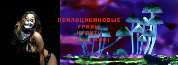 каннабис Богородицк