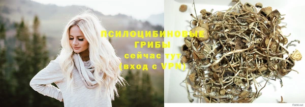 каннабис Богородицк