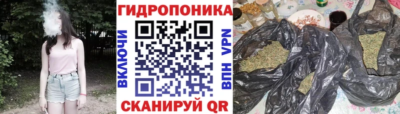 где найти наркотики Благовещенск Конопля AK-47